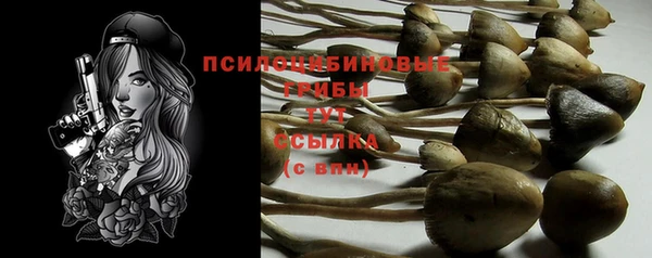 МДПВ Каменка