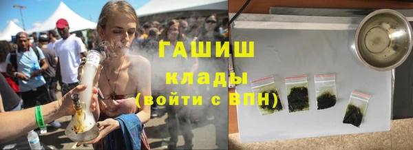 гидра Каменногорск
