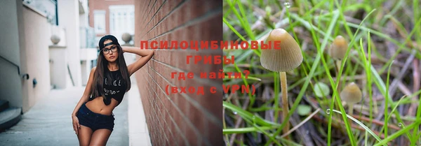МДПВ Каменка