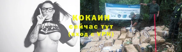 гидра Каменногорск