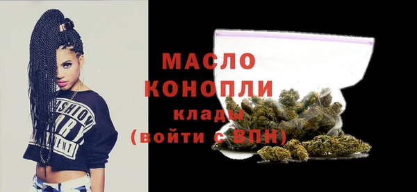 гидра Каменногорск