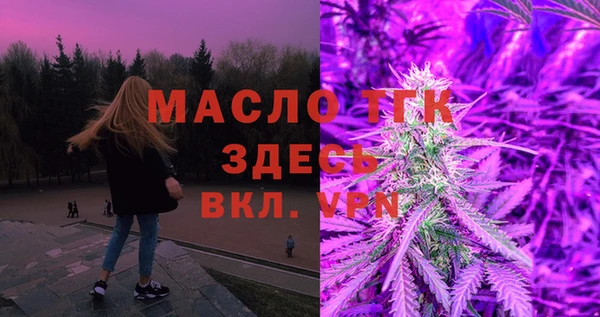 МДПВ Каменка