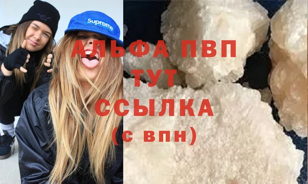МДПВ Каменка