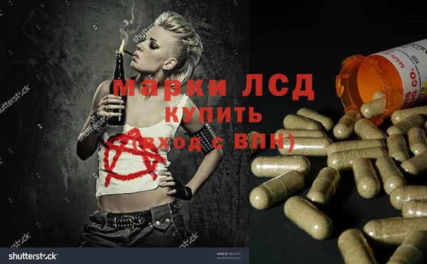МДПВ Каменка