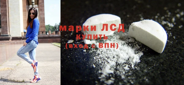гидра Каменногорск