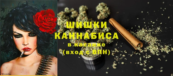 МДПВ Каменск-Шахтинский