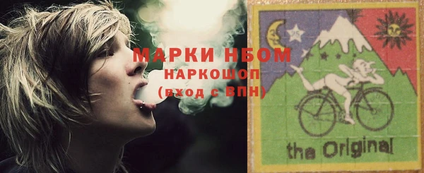 гидра Каменногорск