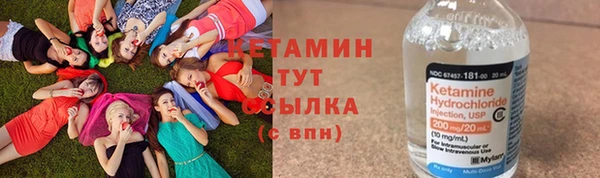 гидра Каменногорск