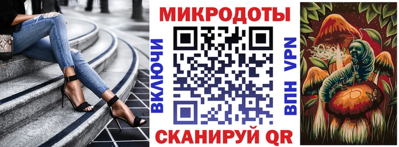 Купить  Апатиты  Галлюциногенные грибы Psilocybe 