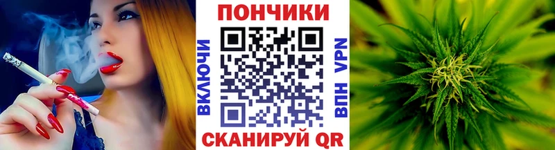 Канабис план  Купить где  Апатиты 